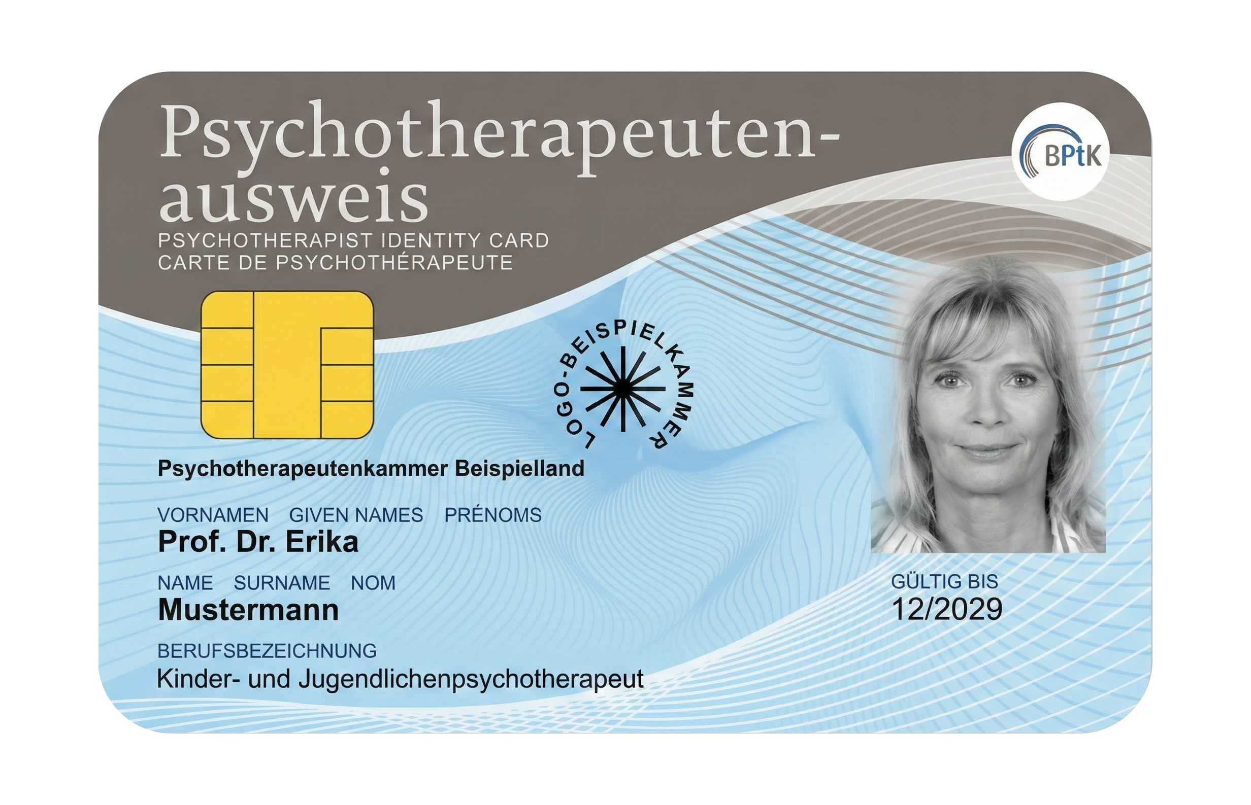 Psychotherapist's licence