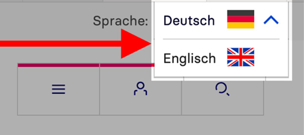 Eine Ansicht des Sprachwechslers auf der Website.