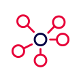 Network